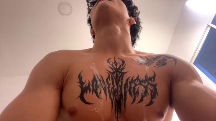 fit_prince_