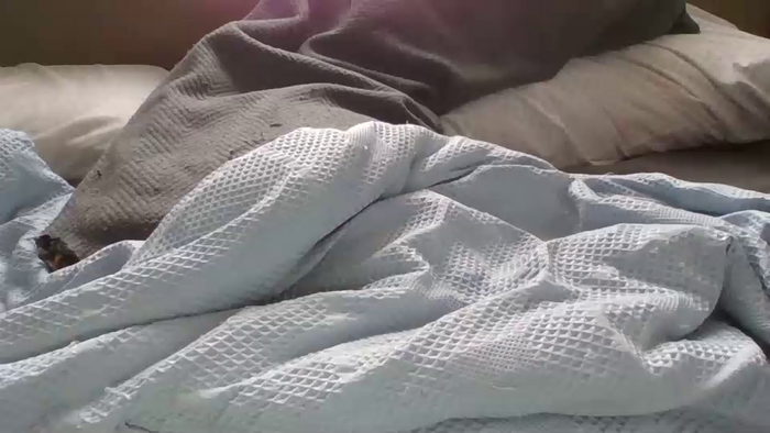 closetcumslut