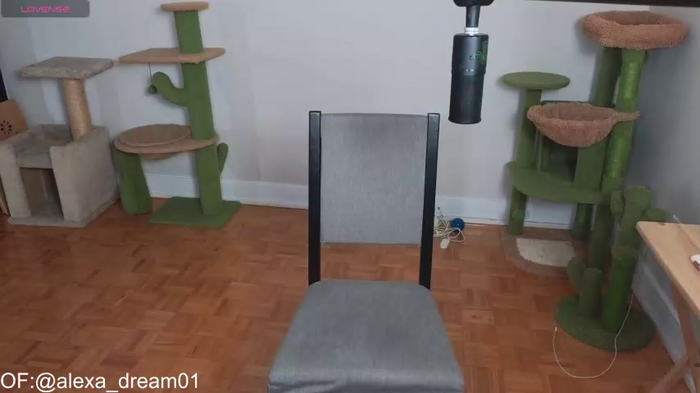 alexa_dream