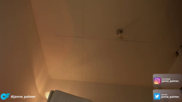 janne_palmer_