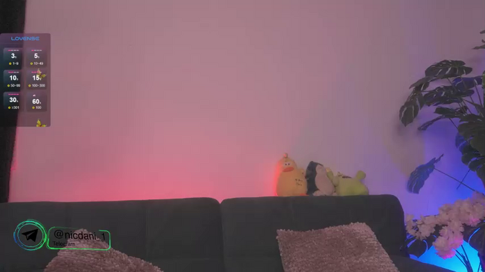 nicdani_1