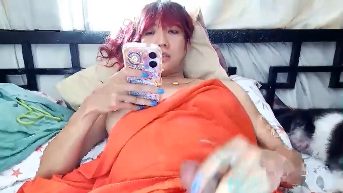 xdreamangel