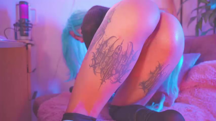 kittymolly_