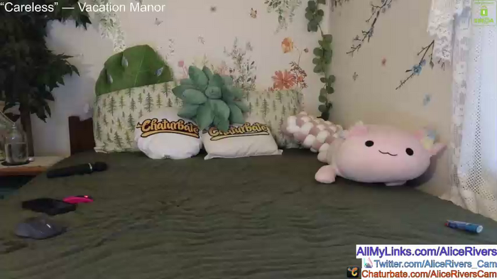 aliceriverscam