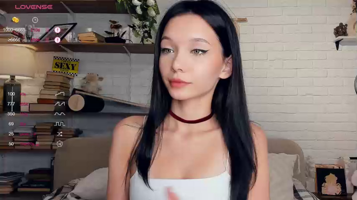 riskyproject