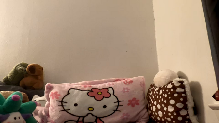 velvetpurrfection
