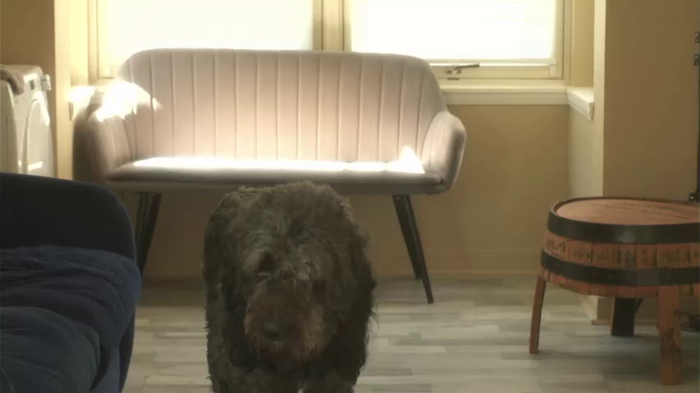 lucydelovely