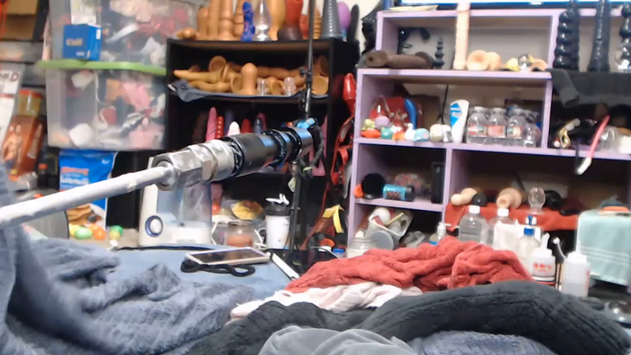 animergamergirl