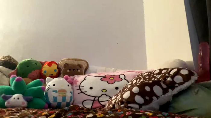 velvetpurrfection