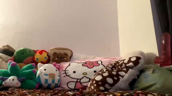 velvetpurrfection