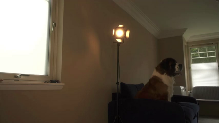lucydelovely