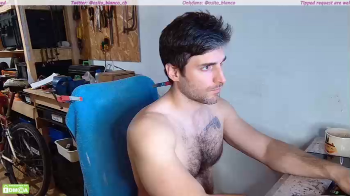 osito_blanco