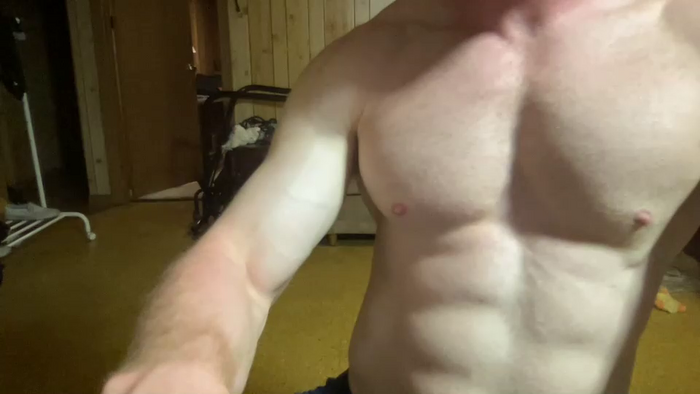 gingernospice