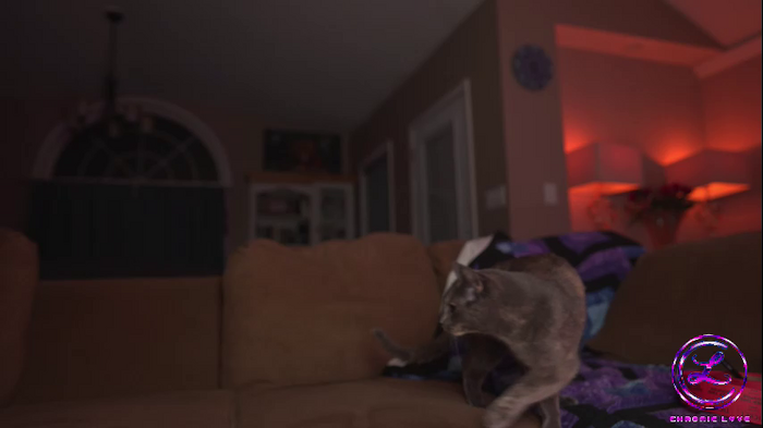 chroniclove