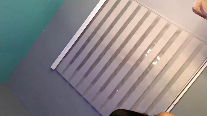 gata_salvaje22