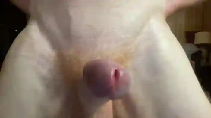 2024/08/15/chaturbate-gingernospice-14-49-08