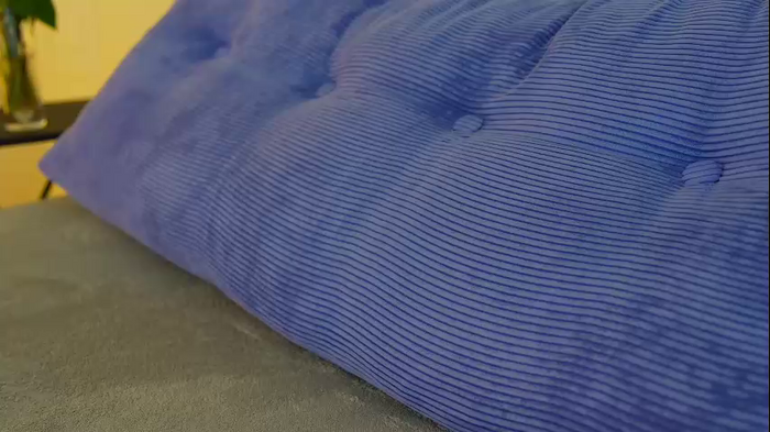 _feli_