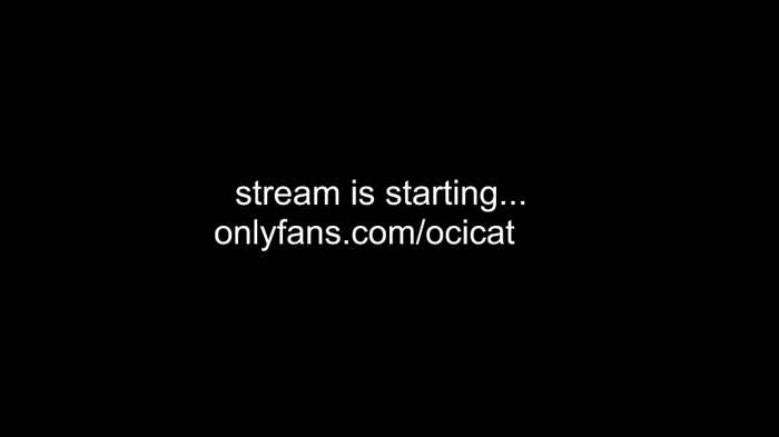 ocicat