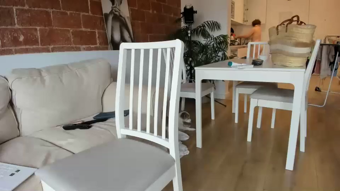 palaustudio