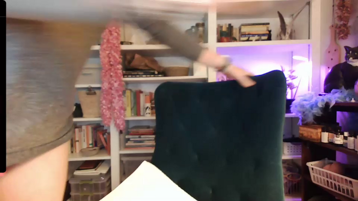 catnips_cabaret