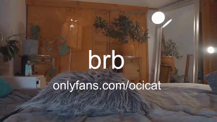 ocicat