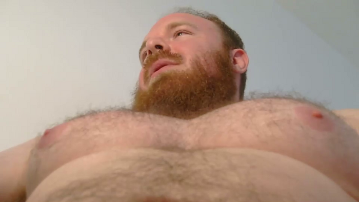pec_inspector