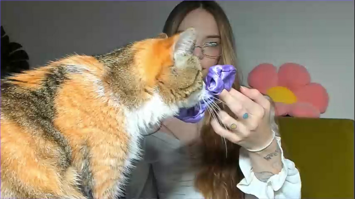 thisisamelia