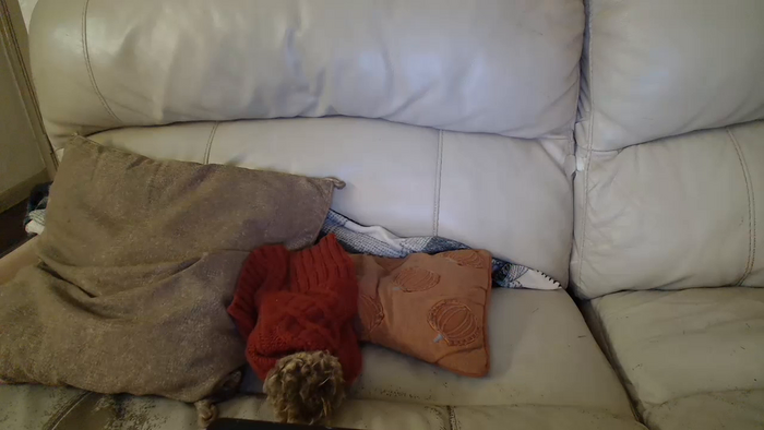 bigdicktrannynicole