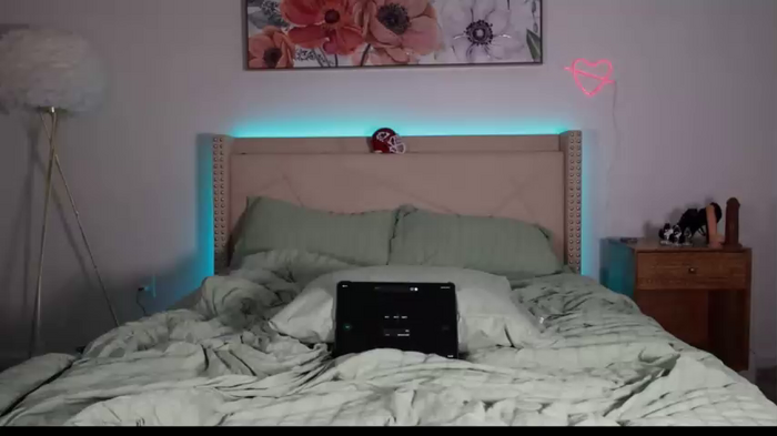 ari_lovexo