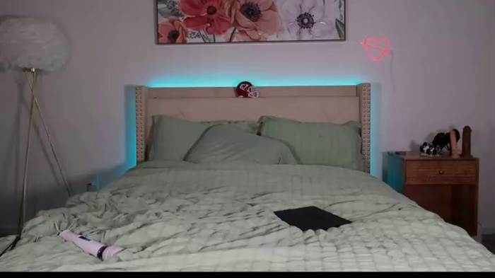 ari_lovexo