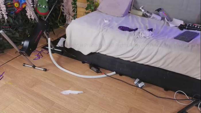 mollyflwers