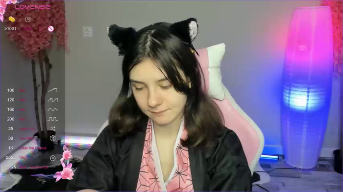 raiden_maid