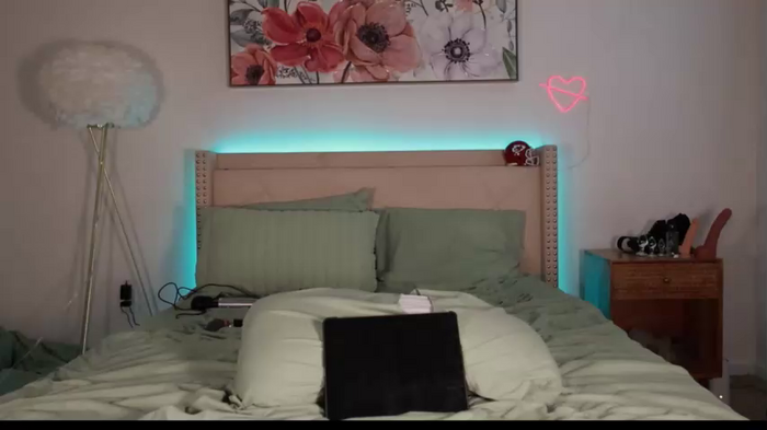 ari_lovexo