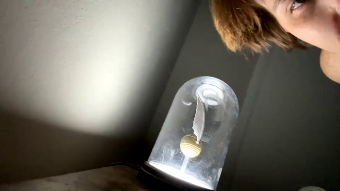 quickyflicky