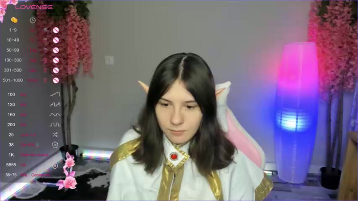 raiden_maid