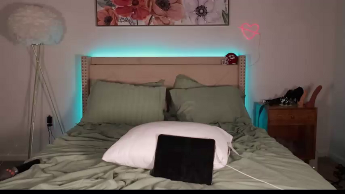 ari_lovexo