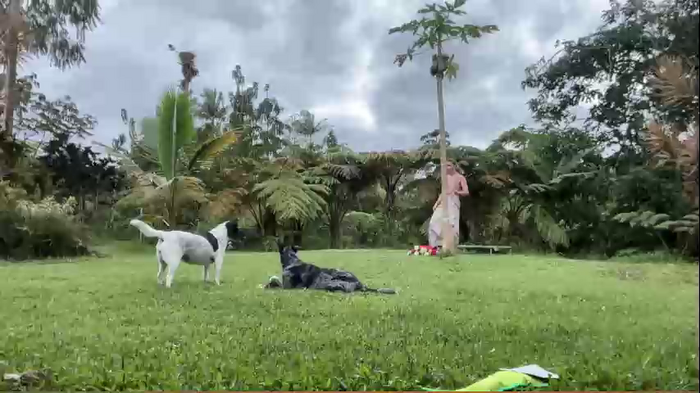 kaileeshy