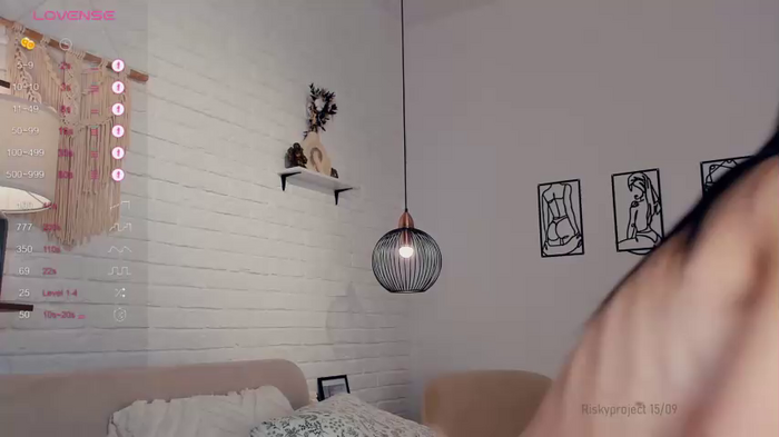 riskyproject