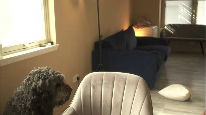 lucydelovely