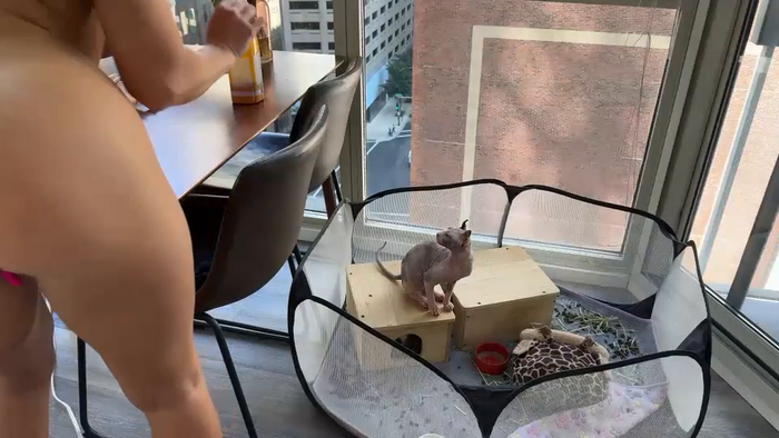 graciemae_baexx