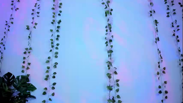 sakura_pie