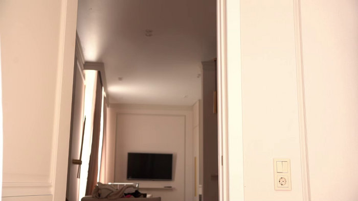 elisa_moon