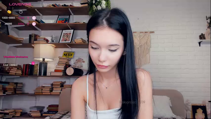 riskyproject