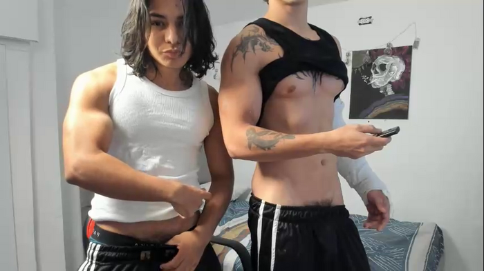 fit_prince_