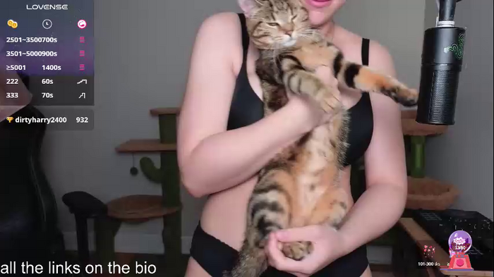 alexa_dream