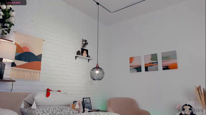riskyproject