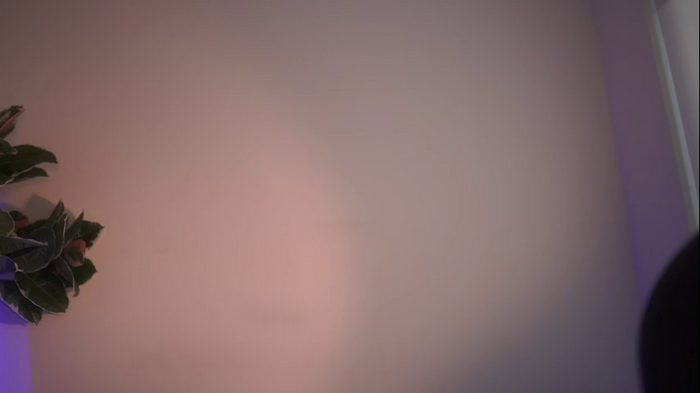 letiziafulkers1