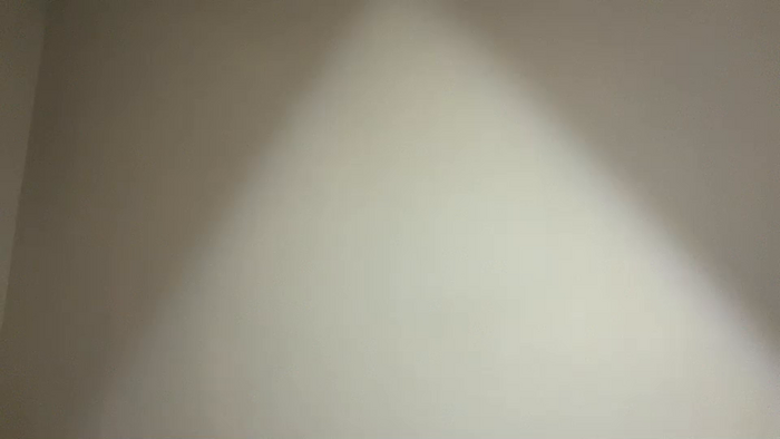 bipapiinches8