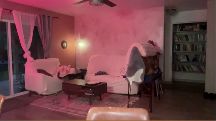 kaileeshy