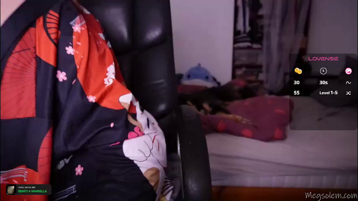 _meg